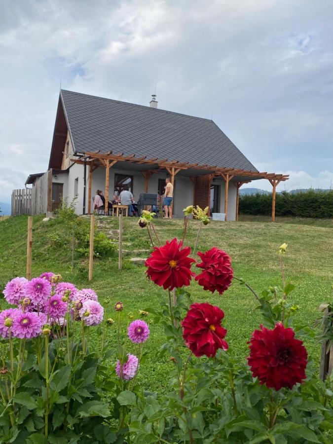 Apartmany U Mateje Dolní Morava Exterior foto